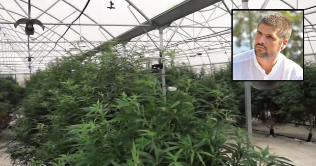 Истрага о заплени четири тоне марихуане код Старе Пазове: Нови сведоци за Јовањицу