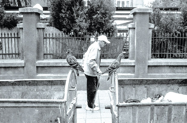 Уметност фотографије: Урбани тренутак Александра Келића