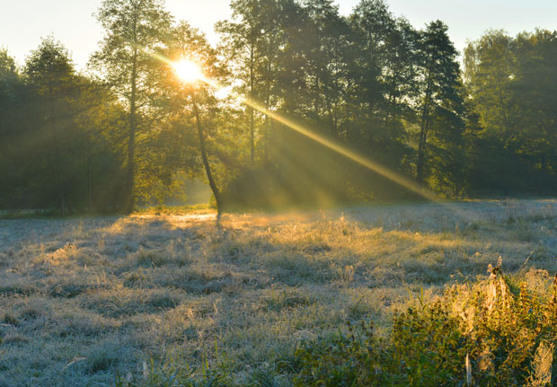 Временска прогноза: У недељу после јутарњег мраза током дана топлије, ево до колико степени