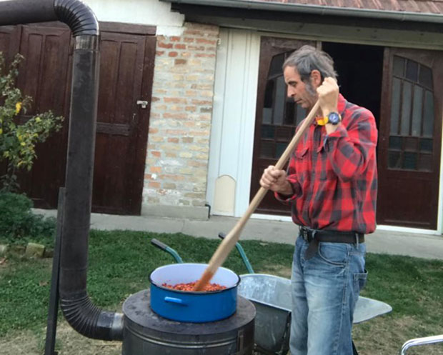 КАД БАБА МЕША ПАПРИКЕ: Веслач по ајвару