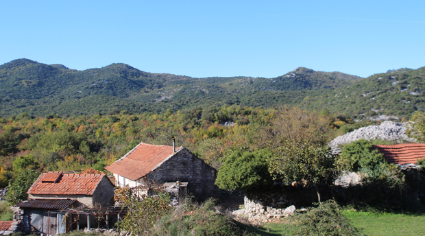 МУКЕ ПОВРАТНИЧКЕ ПОРОДИЦЕ: Чекају струју 18 година!