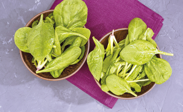 Нутриционисти опомињу: Избегавајте спанаћ ван сезоне