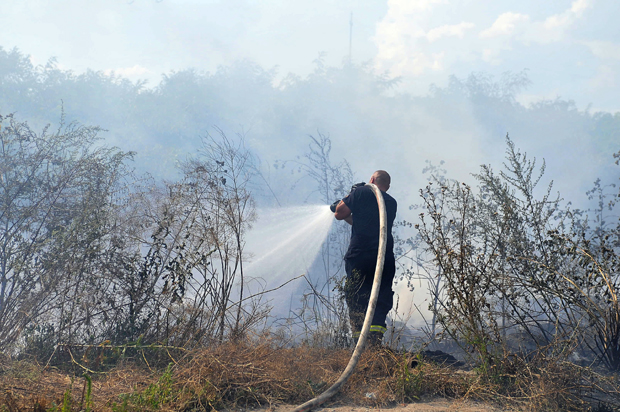 Локализован велики пожар на обронцима Копаоника, горело 50 хектара