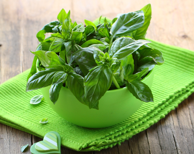 Добар је за грло, срце, бубреге: Босиљак је лек за многе болести