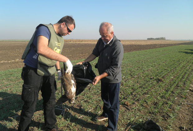 МЕСО ПОСУТО ОТРОВОМ: Брзом реакцијом спречено тровање животиња