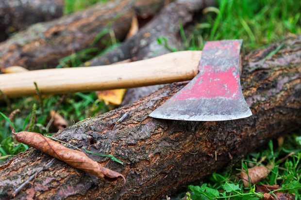 Засекао сам дрво, викнуо брату Милану да бежи лево, али он се уплашио: Незапамћена трагедија прогониће Саву до краја живота