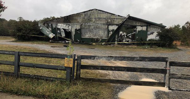 У пожару страдало 19 изложбених коња (ВИДЕО)