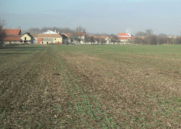 Велимир штанглом претучен насмрт због међе: За брутално убиство код Пожаревца прети 15 година затвора