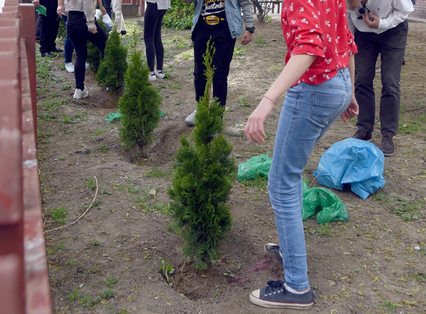 Акција пошумљавања Београда од 17. новембра