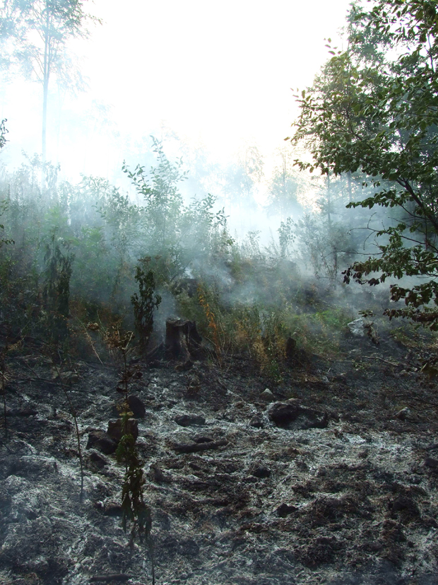 Бугари угасили пожар на Старој планини