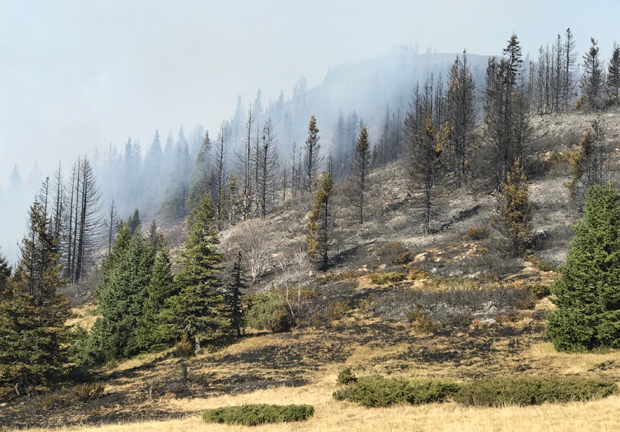 Тоне воде на ватрену стихију: Руски иљушин 76 почео да гаси пожар на Старој планини