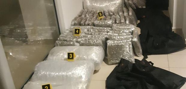 ПАО НИКШИЋАНИН: Црногорска полиција запленила 374 килограма марихуане (ФОТО)