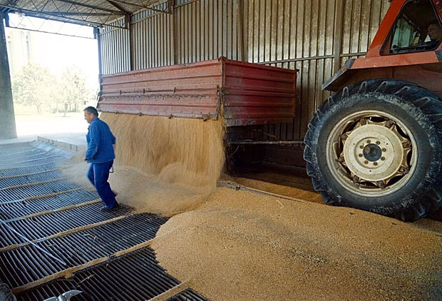 Стручњак упозорава на хаос у попису: Држава не зна где је жито, то ствара озбиљан проблем