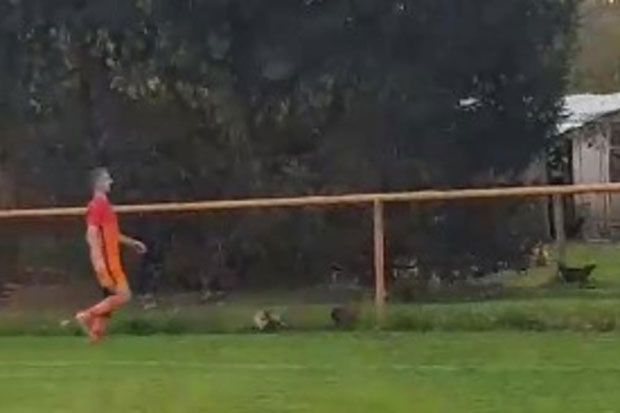 Хрват пресудио кокошки током утакмице: Голман се изнервирао и шутнуо несрећну животињу, судија га казнио црвеним картоном (ВИДЕО)