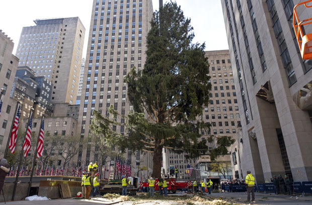 Постављена божићна јелка у Рокфелер центру у Њујорку (ВИДЕО)