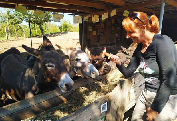 Он живи црногорски сан: Гости му долазе из целог света, раде на његовом имању и још му плате (ВИДЕО/ФОТО)