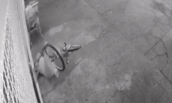 Погледајте шта бива када се “мешају” алкохол и бицикл (ВИДЕО)