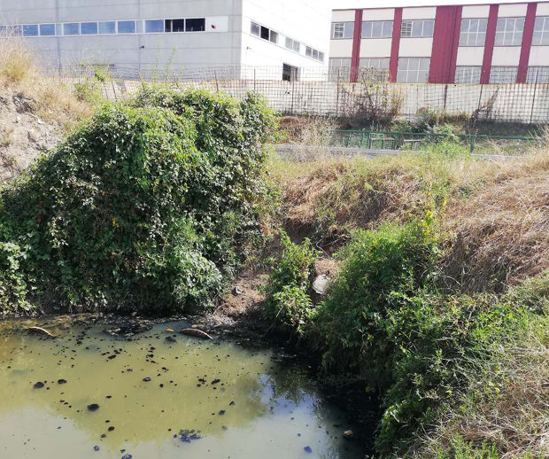 Еколошки инцидент код фабрике Дреник на Палилули: Отпадне воде су загадиле канал?