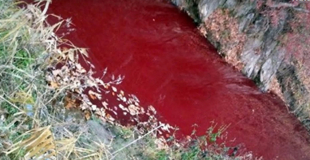 Крв обојила реку у црвено, власти тврде да је све под контролом (ВИДЕО)