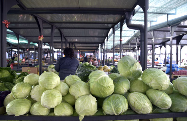 Више се исплати, а и укусније је: Ево колико је новца потребно за припрему зимнице