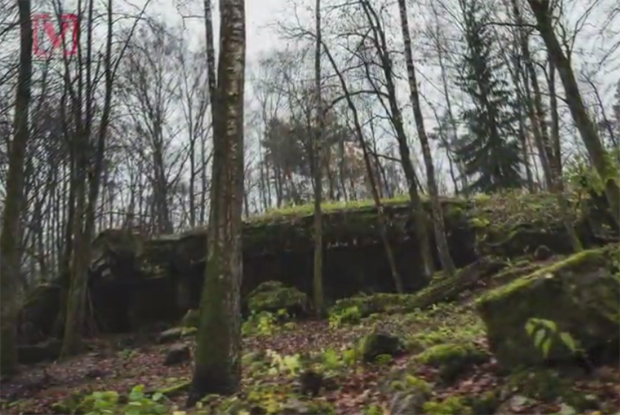 ФИРЕР ЈЕ У СВОМ ЛУДИЛУ ВОЛЕО И НЕШТО НЕОБИЧНО: У Пољској откривени Хитлерови тајни вртови, имали су сасвим посебну сврху (ВИДЕО)