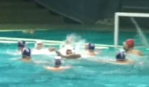 ВИДЕО: Туча у базену - севале песнице на мечу Партизана и Морнара