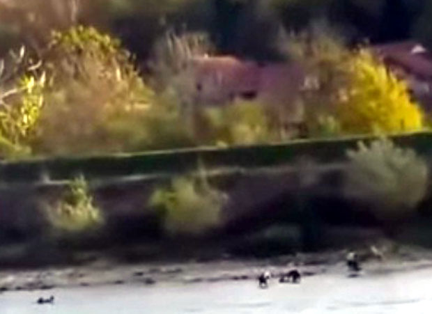 По сваку цену покушавају да дођу у Србију: Мигранти снимљени како газе Дрину (ВИДЕО)