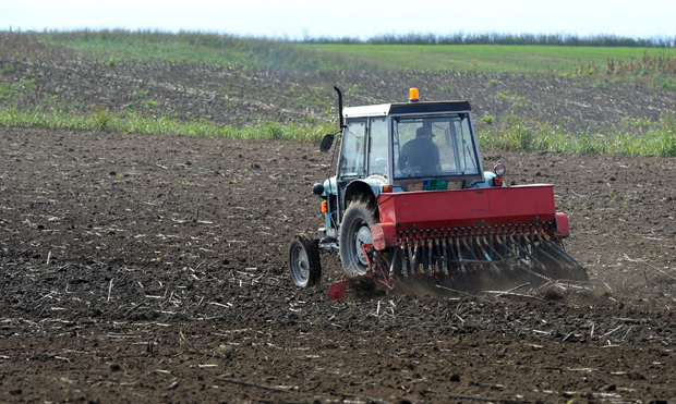 Хоћемо ли имати довољно пшенице? Сетва касни, а суочавамо се и са дугом топлом јесени