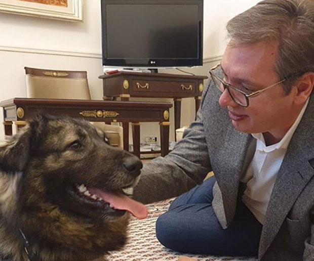 Прве фотографије председника после изласка из болнице: Пако дочекао Вучића на послу (ФОТО)