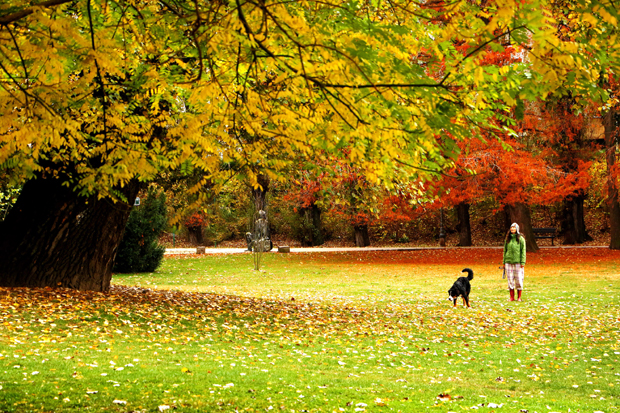Сутра пре подне претежно сунчано, потом на југу облачно