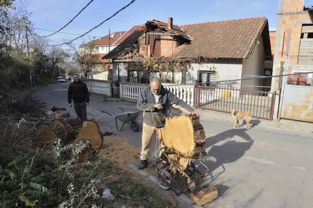 На кућу им пало дрво високо 30 метара, а сада им прети још једно стабло: Угрожена им безбедност, траже помоћ надлежних