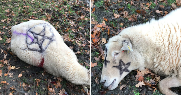 Овце и говеда избодени до смрти, на њиховим лешевима и на цркви исписани сатанистички симболи: Становништво у страху од секте