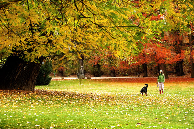 У уторак облачно, али суво време, наредних дана топлије, а ево за кад метеоролози предвиђају пад температуре 
