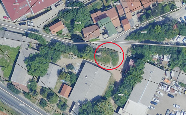 Ни после пет дана нико не преузима одговорност: Дрво пало на кућу породице на Палилули, сад и друго прети да се обруши!