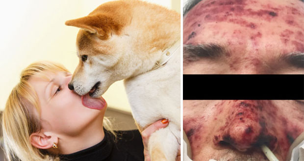 Псећа пљувачка може да убије и здравог човека: Стручњаци власнике позвали на опрез (ФОТО)