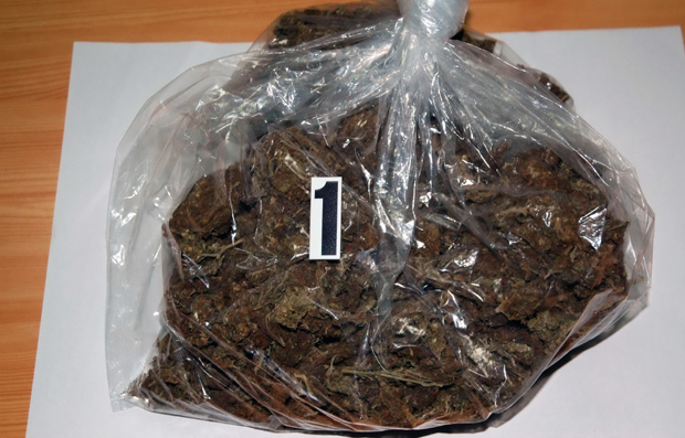 Хапшење у Сомбору: У аутомобилу пронађено 572 грама дроге