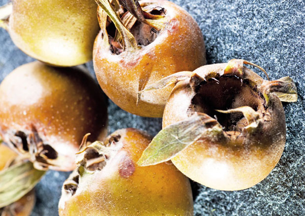 Лековита, а запостављена воћка: Мушмула побољшава варење, снижава холестерол, спречава анемију 