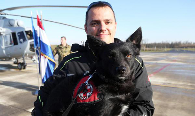 Ову причу о псима трагачима ћете сигурно запамтити: Игор га је пронашао у шуми, прљавог и на ивици смрти, а сада је Ђанго показао у Албанији шта све зна (ФОТО)