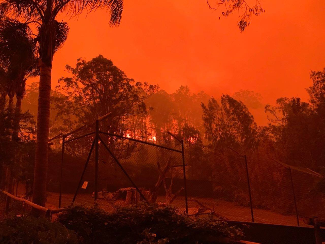 Аустралија је упала у хуманитарну КРИЗУ: Чак 4.000 људи заробљено у пожарима,1.200 кућа збрисано са лица земље, за викенд се предвиђа АПОКАЛИПСА (ВИДЕО)