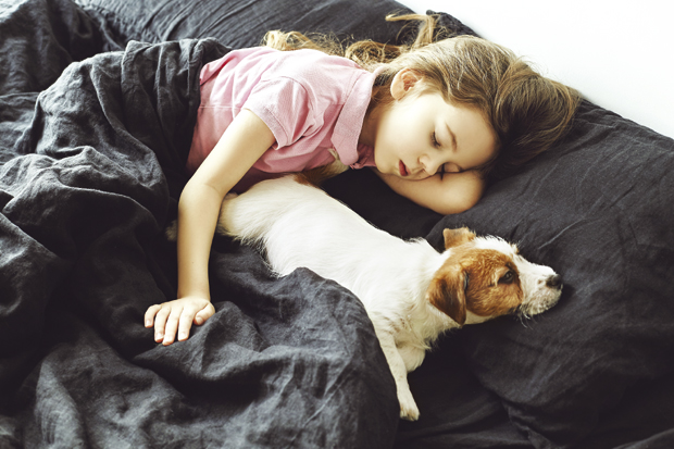 Избор није случајан: „Крзнени пријатељи“ подстичу наше потенцијале