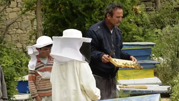 Македонски филм Земља меда филм године по Њујорк тајмсу (ВИДЕО)
