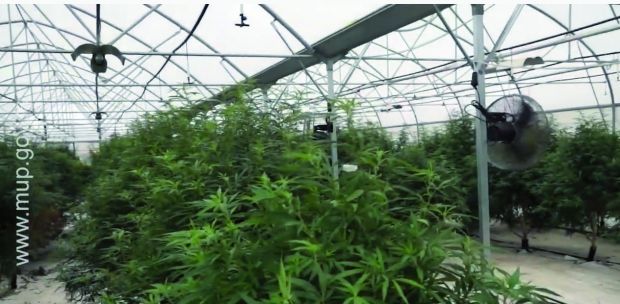 Колувија у притвору још 30 дана: Актери афере „Јовањица“ остају иза браве