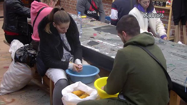 Задругари крунили кукуруз