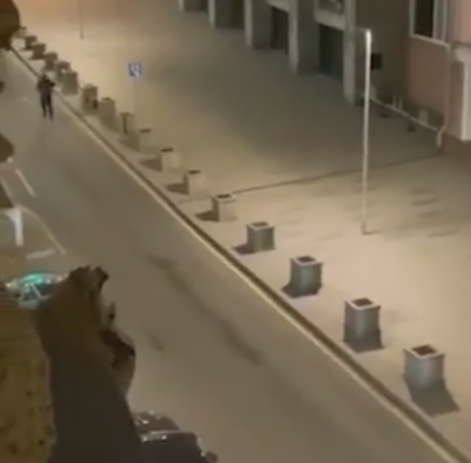 Гнусне оптужбе Приштине: Србија оружјем купује повлачења признања Косова и убија цивиле широм света