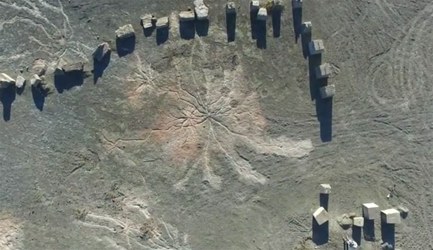 Откривена најстарија шума на свету (ВИДЕО)