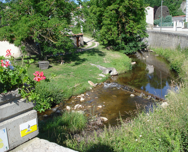 Речица однела брата и сестру, девојчица покушала да помогне дечаку па и сама упала у реку: Трагедија породице с КиМ, мајка због шока у болници