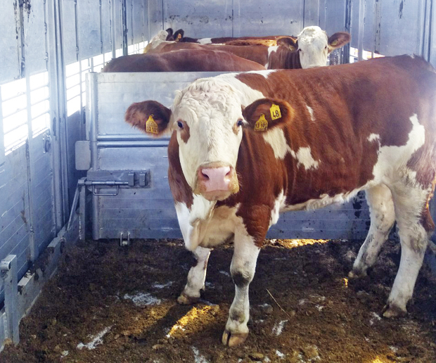 Селу намењено посебно место