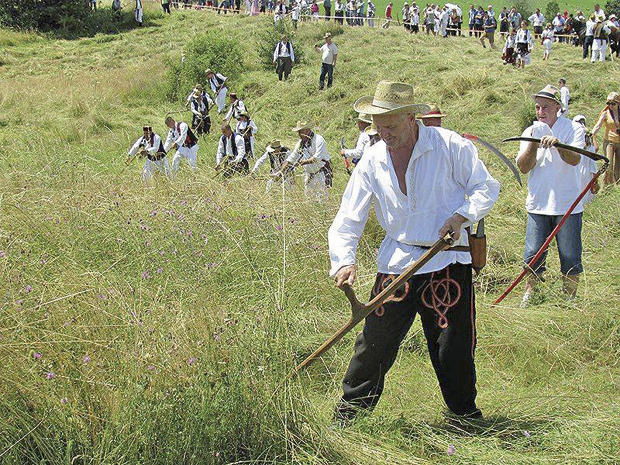 Откос за понос