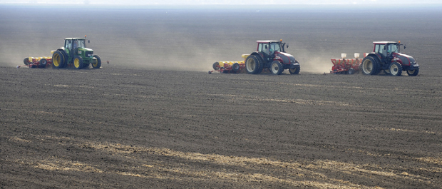 Град неће сећи усеве: За сектор пољопривреде предвиђено улагање од 300 милиона евра у следећих пет година