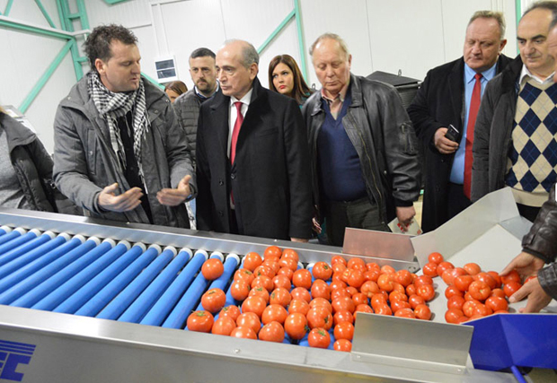 Српско поврће на Француској трпези: Задруга Зелена звезда из Винарца међу најуспешнијим компанијама Јабланичког краја